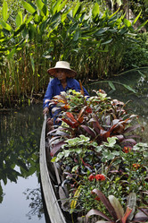 Similar image 1555786