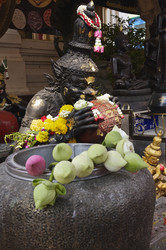 Similar image 1555792