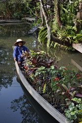 Similar image 1555796