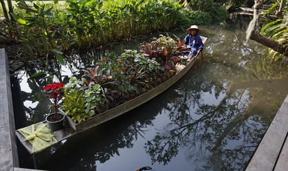 Similar image 1555810