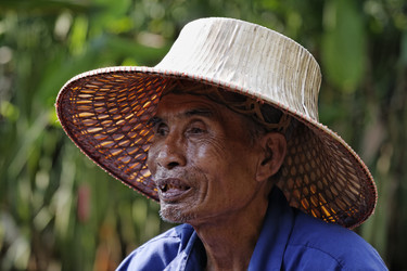 Similar image 1555812