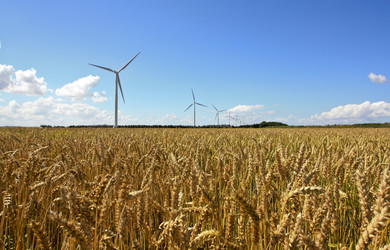 Similar image 1555816