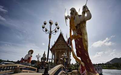 Similar image 1555825