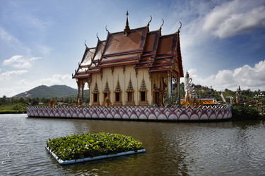 Similar image 1555828