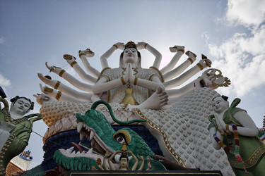 Similar image 1555834