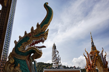 Similar image 1555866