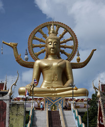 Similar image 1555889