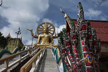 Similar image 1555890