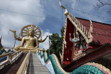 Similar image 1555894