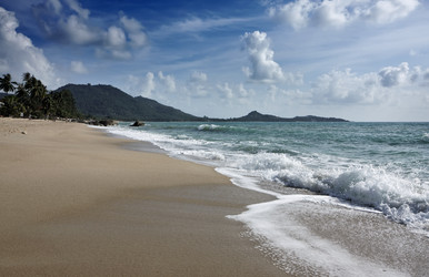 Similar image 1555905