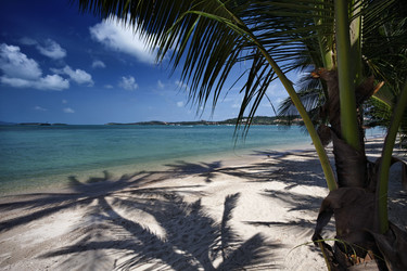 Similar image 1555915