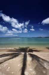 Similar image 1555926