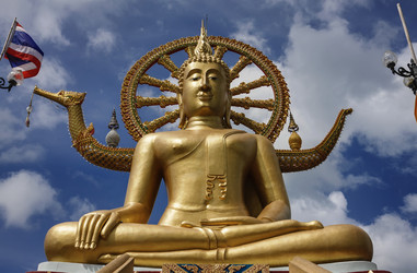 Similar image 1555930