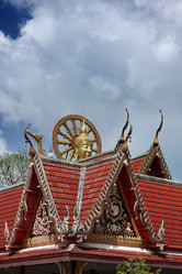 Similar image 1555934