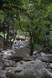 Similar image 1555938