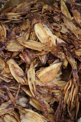 Similar image 1555954