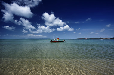 Similar image 1555958