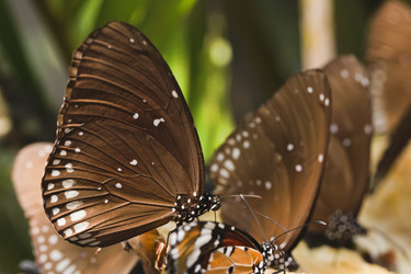 Similar image 1555967