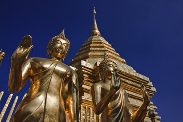 Similar image 1555970