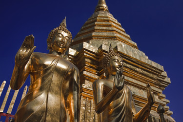 Similar image 1555988