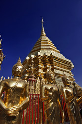 Similar image 1555991