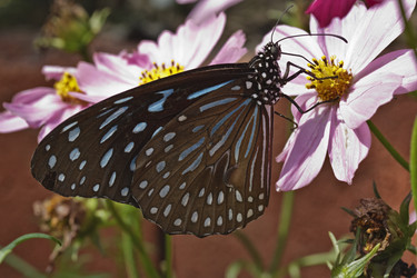 Similar image 1555994