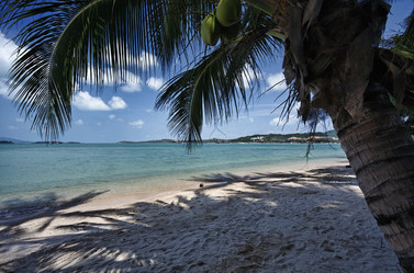 Similar image 1555998