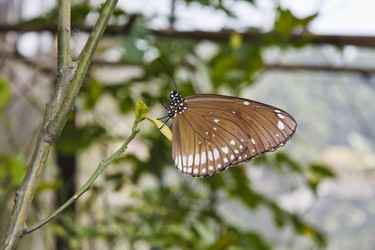 Similar image 1555996