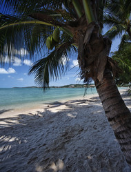 Similar image 1556002