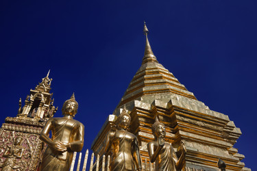 Similar image 1556005