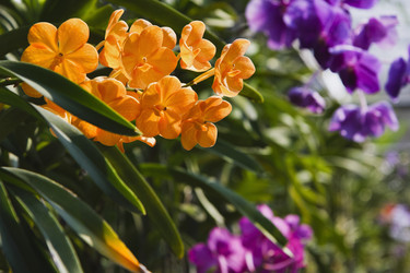 Similar image 1556014