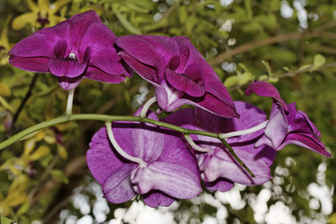 Similar image 1556015