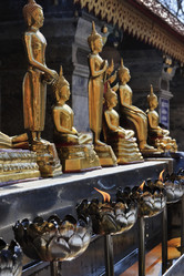 Similar image 1556019