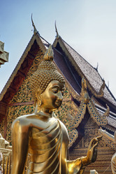 Similar image 1556026