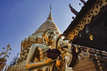 Similar image 1556028