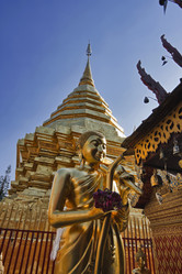 Similar image 1556029