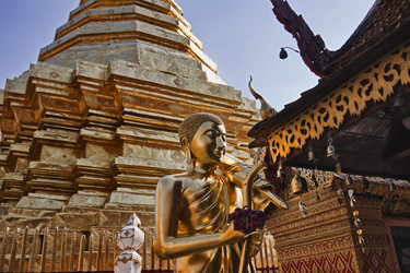 Similar image 1556030