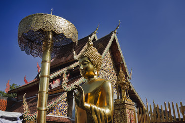 Similar image 1556031