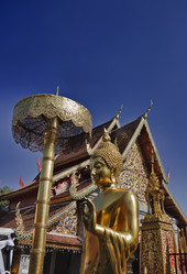 Similar image 1556032