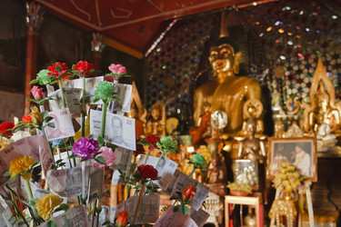 Similar image 1556033