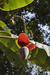 Similar image 1556037