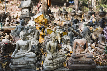 Similar image 1556038