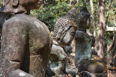 Similar image 1556040