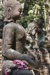 Similar image 1556041