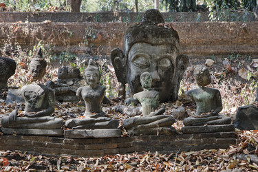 Similar image 1556042