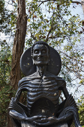 Similar image 1556046