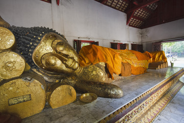 Similar image 1556069