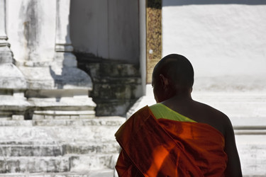 Similar image 1556084