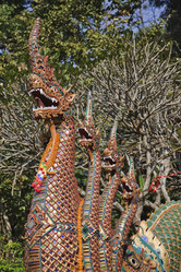 Similar image 1556087