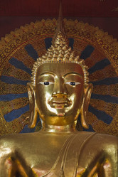 Similar image 1556093